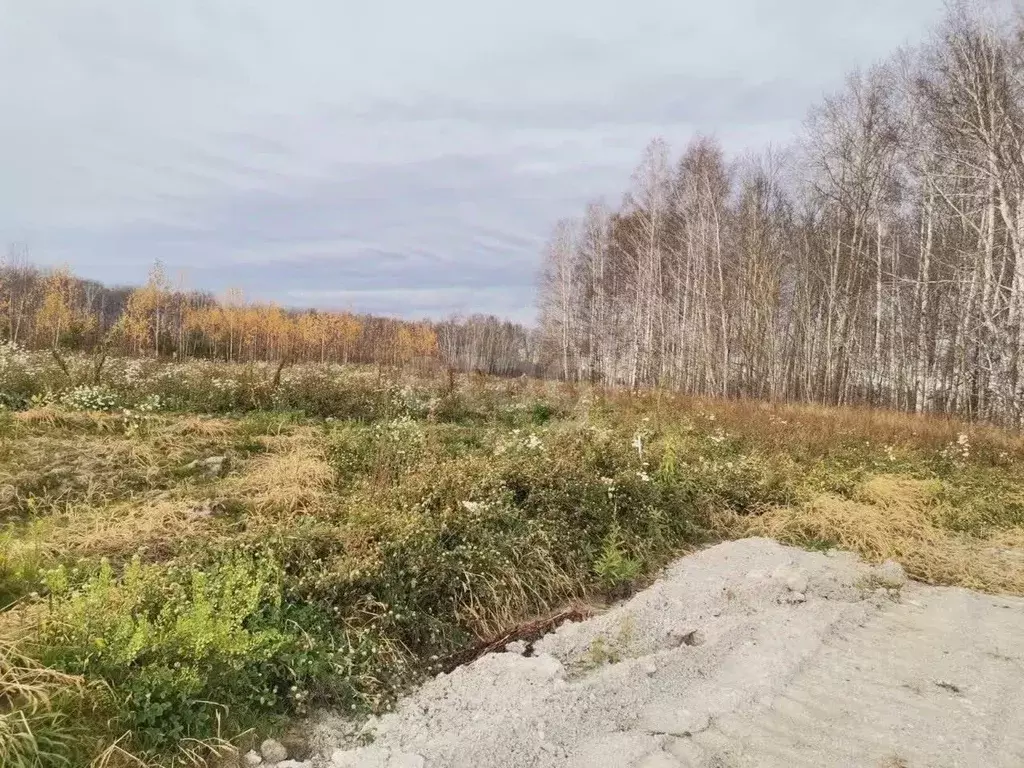 Участок в Тюменская область, Тюменский район, с. Горьковка  (6.0 сот.) - Фото 0