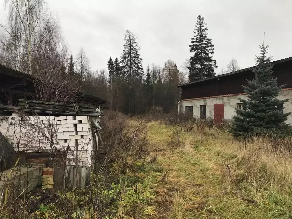 Помещение свободного назначения в Московская область, Дмитровский ... - Фото 1