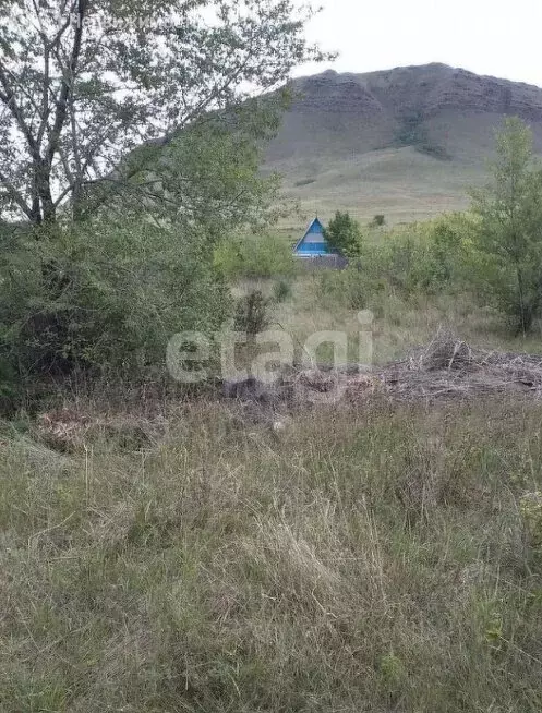 Участок в Черногорск, садоводческое некоммерческое товарищество ... - Фото 1