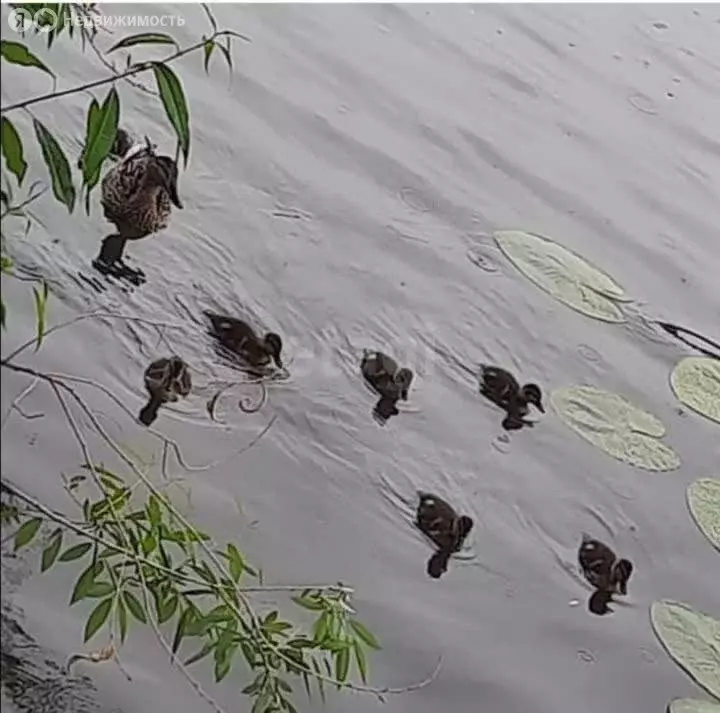 Участок в село Барлак, Дачный переулок (8 м) - Фото 1