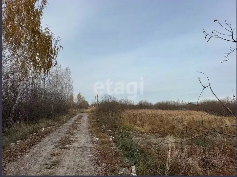 Участок в Тюменская область, Тюмень Большое Царево-1 СНТ,  (9.88 сот.) - Фото 2