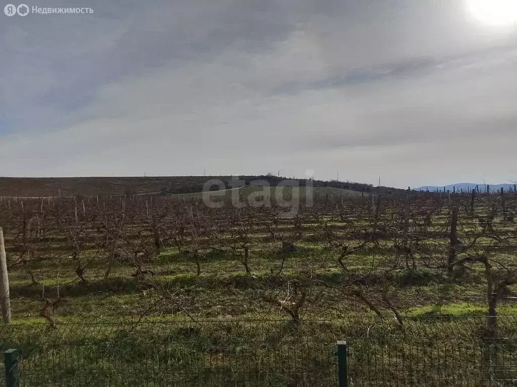 Участок в Краснодарский край, Анапа (104 м) - Фото 2