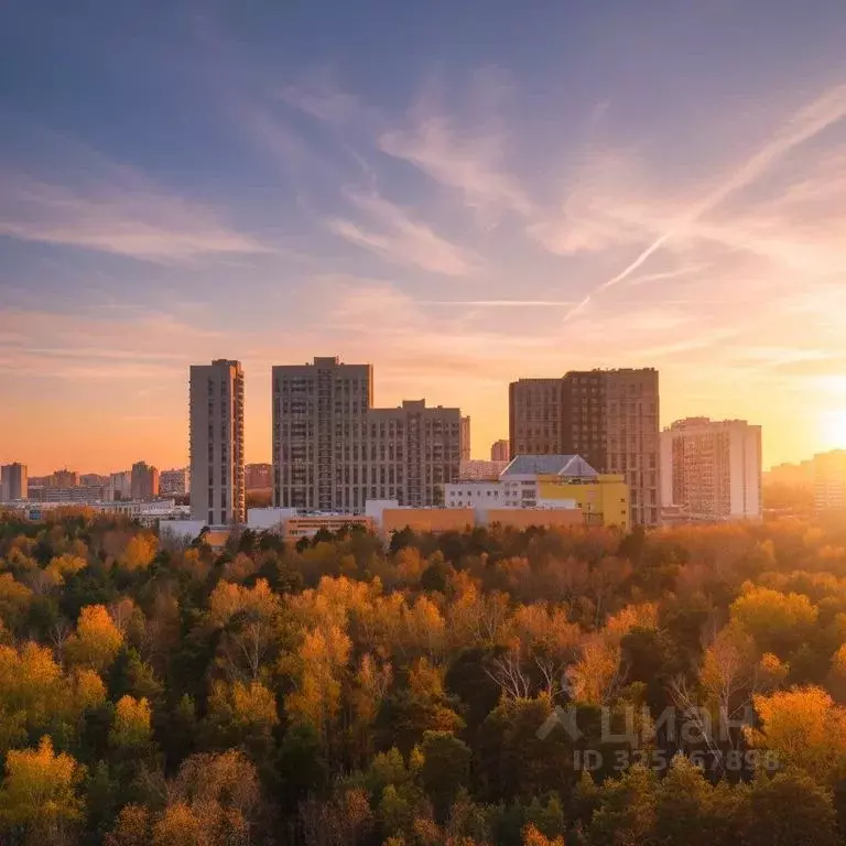 Студия Москва Большой Волоколамский проезд, 23 (32.0 м) - Фото 2