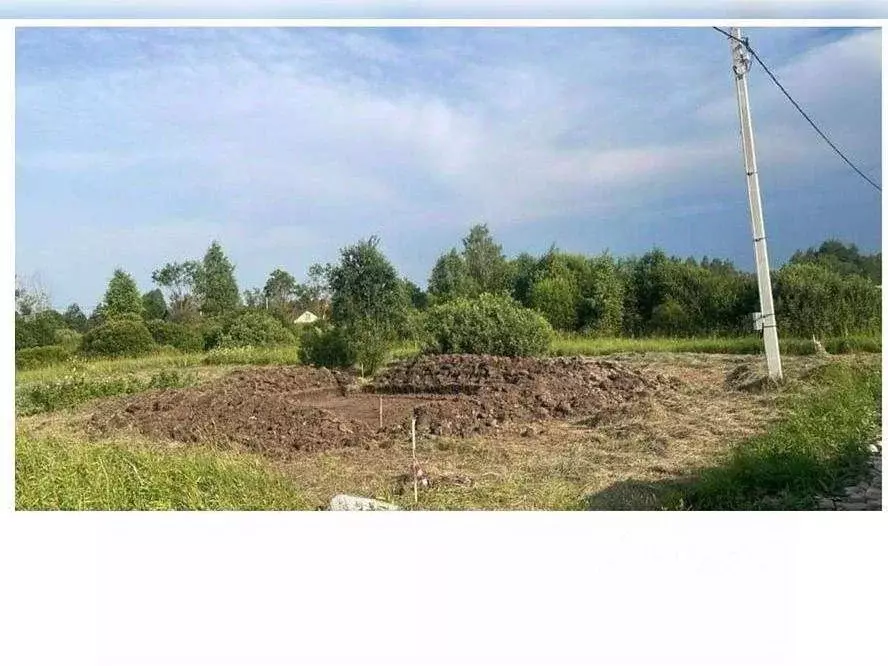 Участок в Московская область, Талдомский городской округ, с. ... - Фото 2