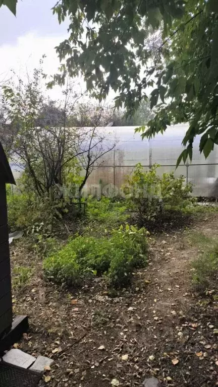 Участок в Новосибирская область, Новосибирск Северо-Чемской жилмассив, ... - Фото 2