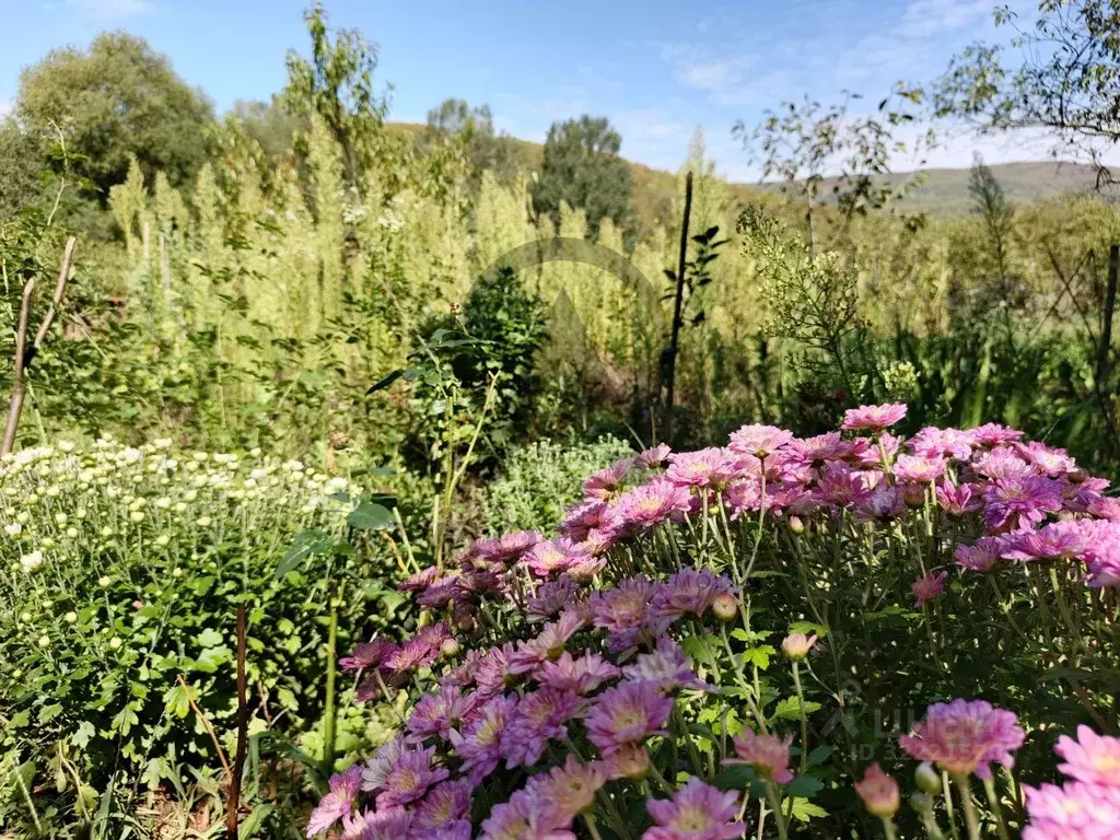 Участок в Краснодарский край, Туапсинский муниципальный округ, с. ... - Фото 2