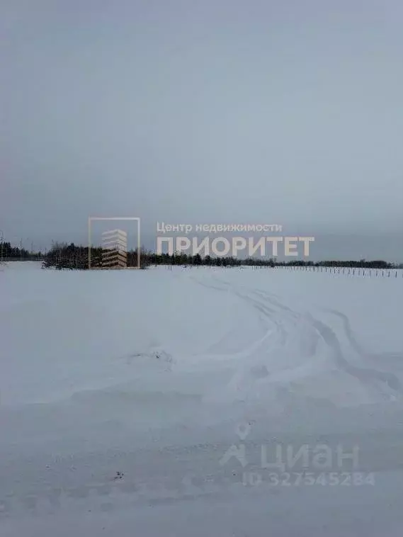 Участок в Саха (Якутия), Якутск городской округ, с. Хатассы  (10.0 ... - Фото 1