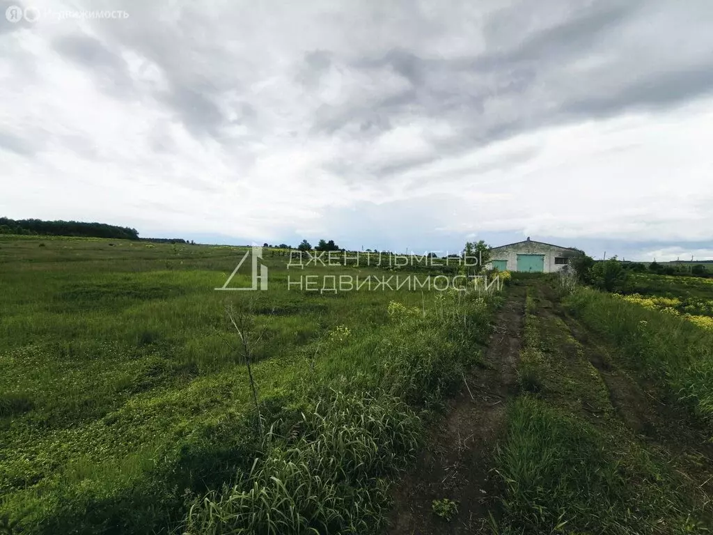 Участок в Каменский район, село Анучино (1.2 м) - Фото 1