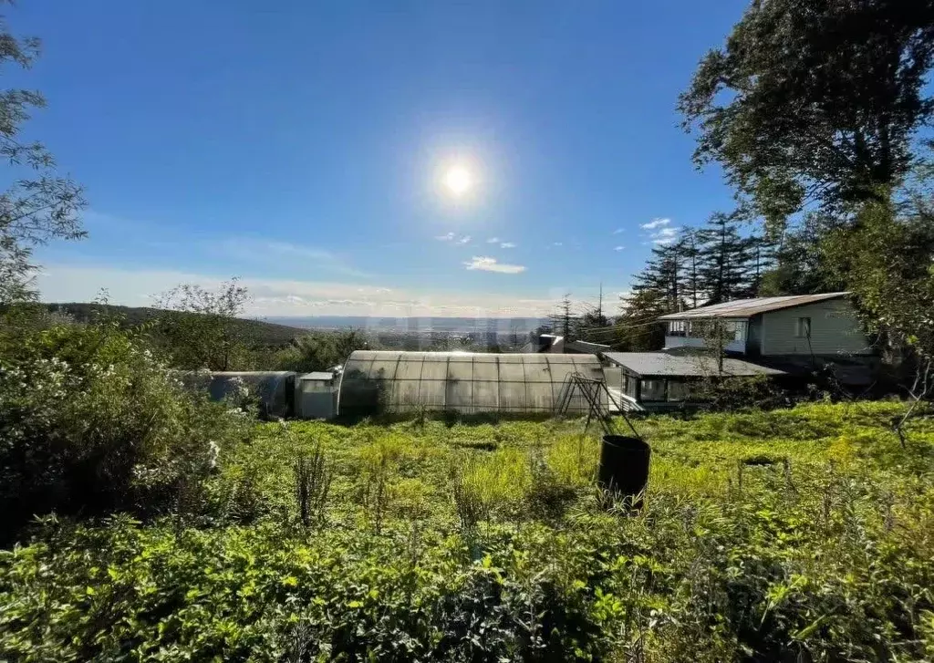 Участок в Сахалинская область, Южно-Сахалинск Вишневый сад СНТ, 19 ... - Фото 1