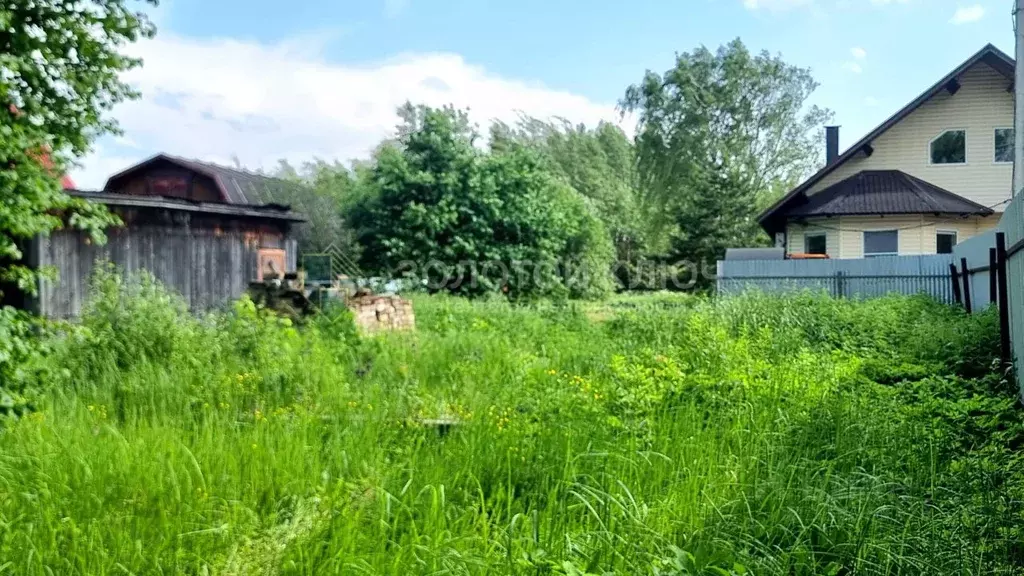 Участок в Московская область, Талдомский городской округ, Запрудня пгт ... - Фото 1