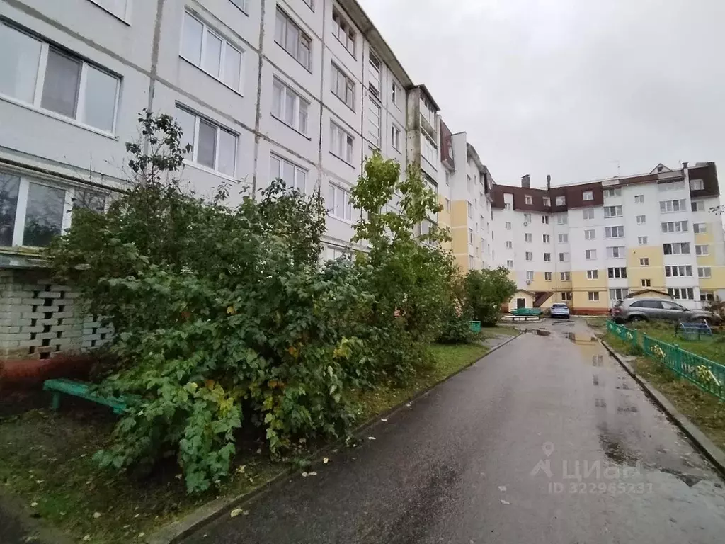 Свободной планировки кв. Брянская область, Жуковка ул. Мальцева, 14 ... - Фото 2