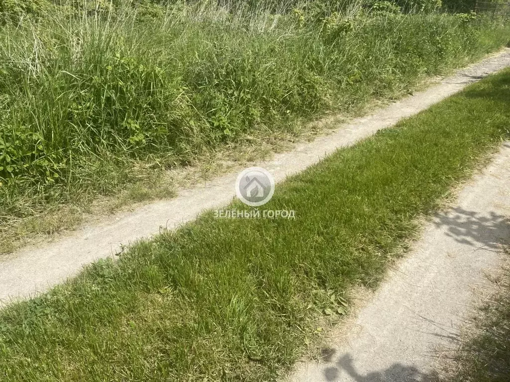 Участок в Калининградская область, Зеленоградский муниципальный округ, ... - Фото 2