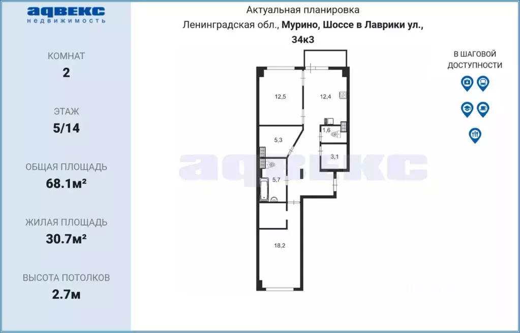 2-к кв. Ленинградская область, Мурино Всеволожский район, ул. Шоссе в ... - Фото 1