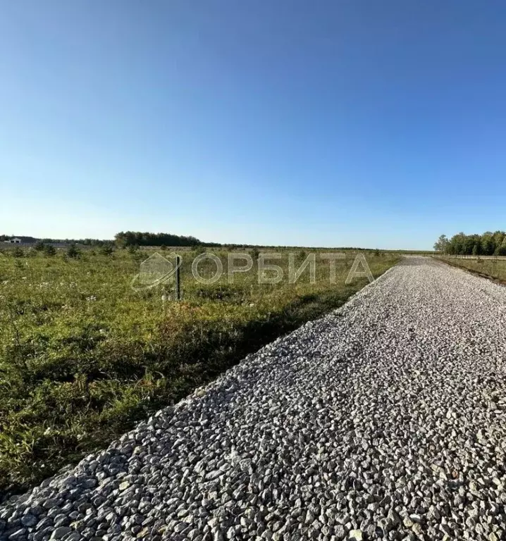Участок в Тюменская область, Тюменский район, Новокаменский кп ул. ... - Фото 1