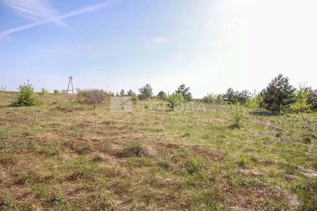 Участок в Алтайский край, Барнаул городской округ, пос. Бельмесево ул. ... - Фото 0
