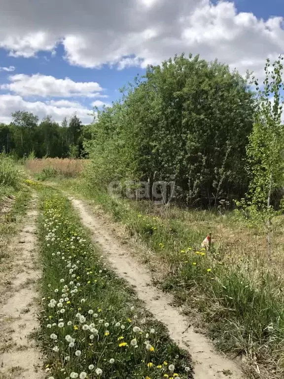 Участок в Тюменская область, Нижнетавдинский муниципальный округ, ... - Фото 0
