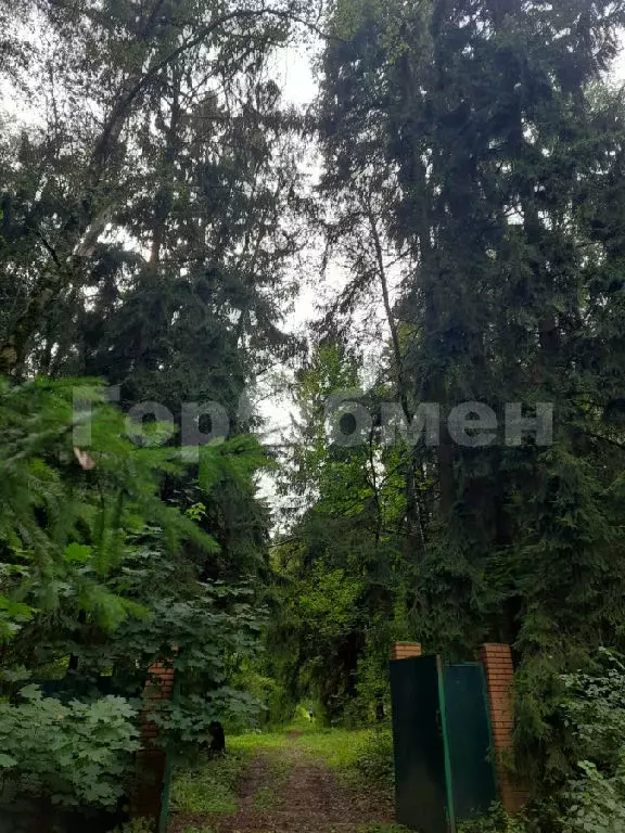 Продается участок в г. Лобня - Фото 2