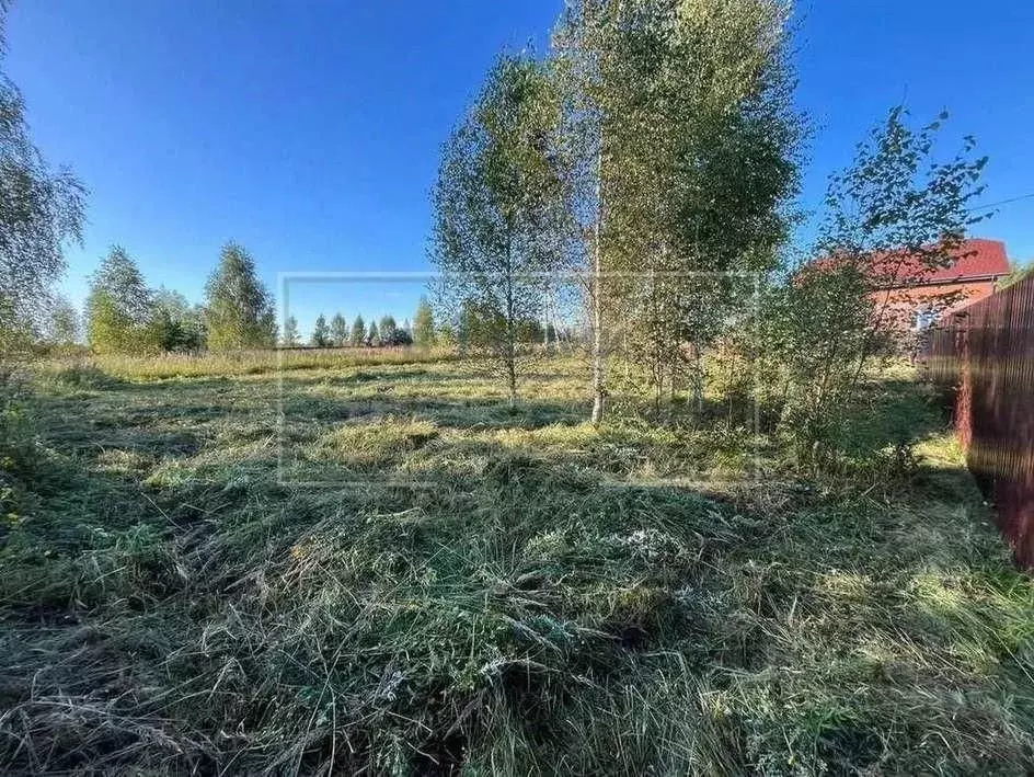 Участок в Ярославская область, Некрасовский муниципальный округ, ... - Фото 1