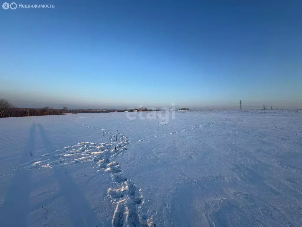 Участок в Хабаровский район, Тополевское сельское поселение, село ... - Фото 0