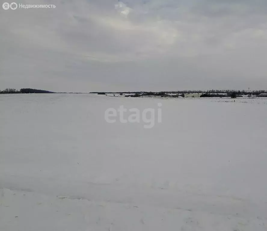 Участок в Вейделевский район, село Зенино (20 м) - Фото 2