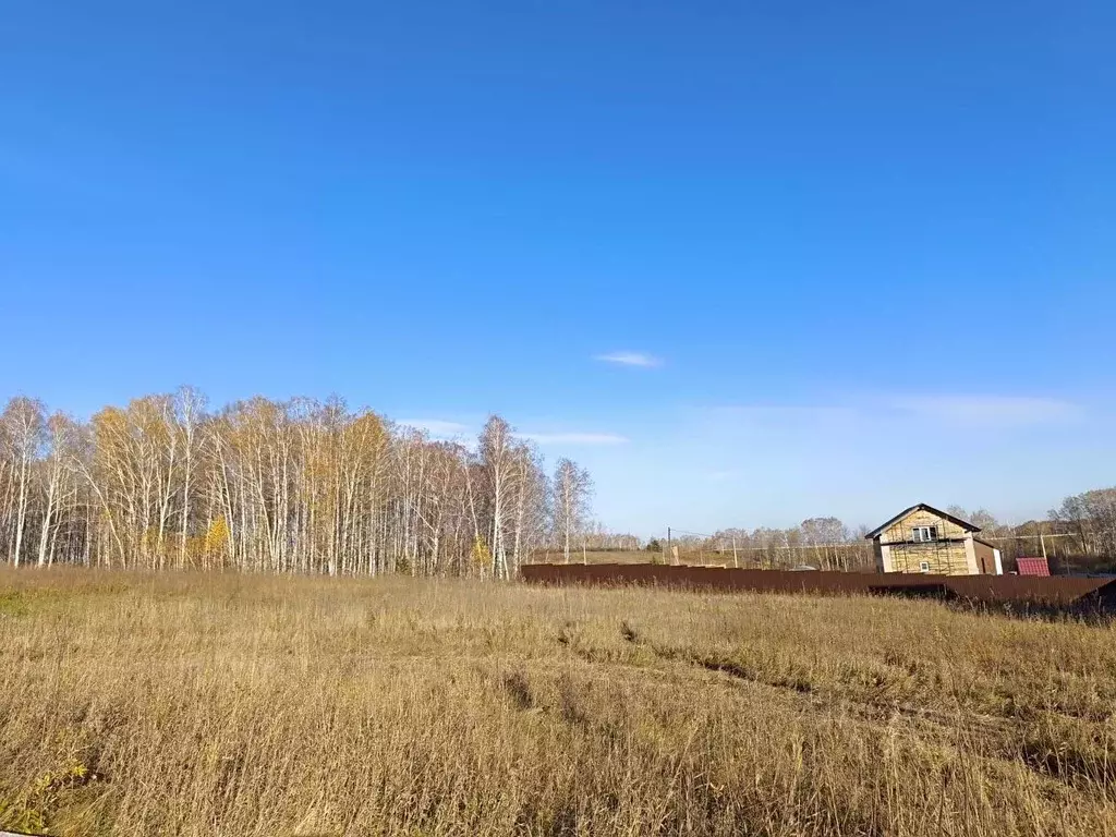 Участок в Красноярский край, Емельяновский муниципальный округ, ... - Фото 1