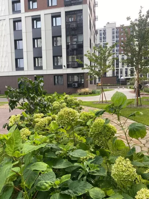 1-к кв. Санкт-Петербург Студенческая ул., 14к2 (35.7 м) - Фото 2