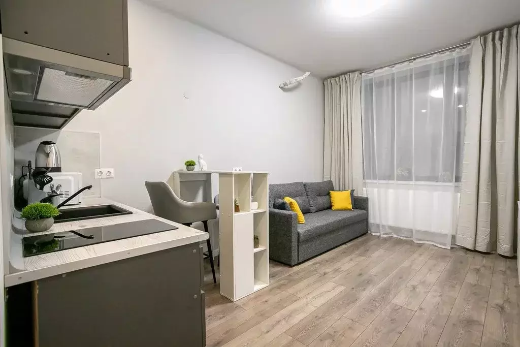 Студия Москва проезд Серебрякова, 11к2 (22.0 м) - Фото 1