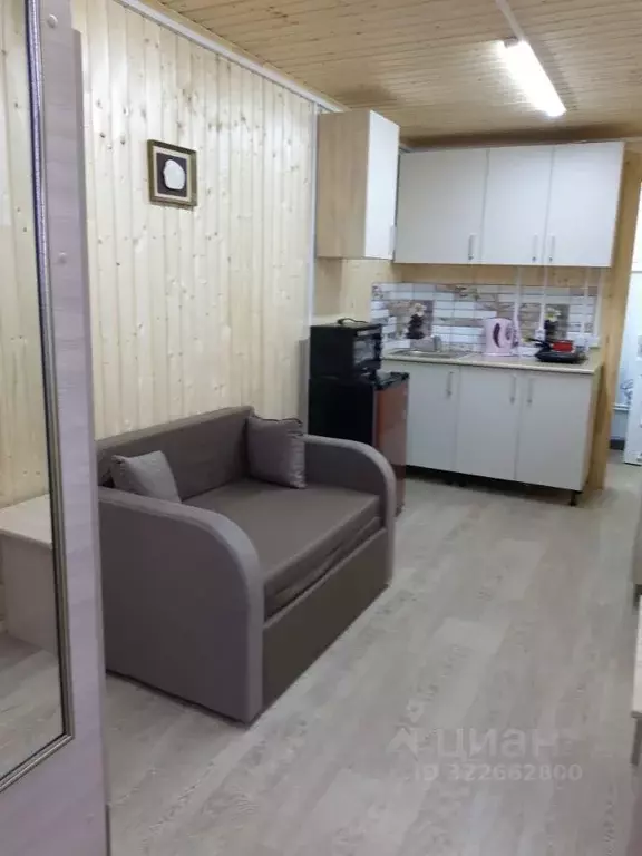 Дом в Краснодарский край, Сочи Виноградная ул., 115 (21 м) - Фото 1