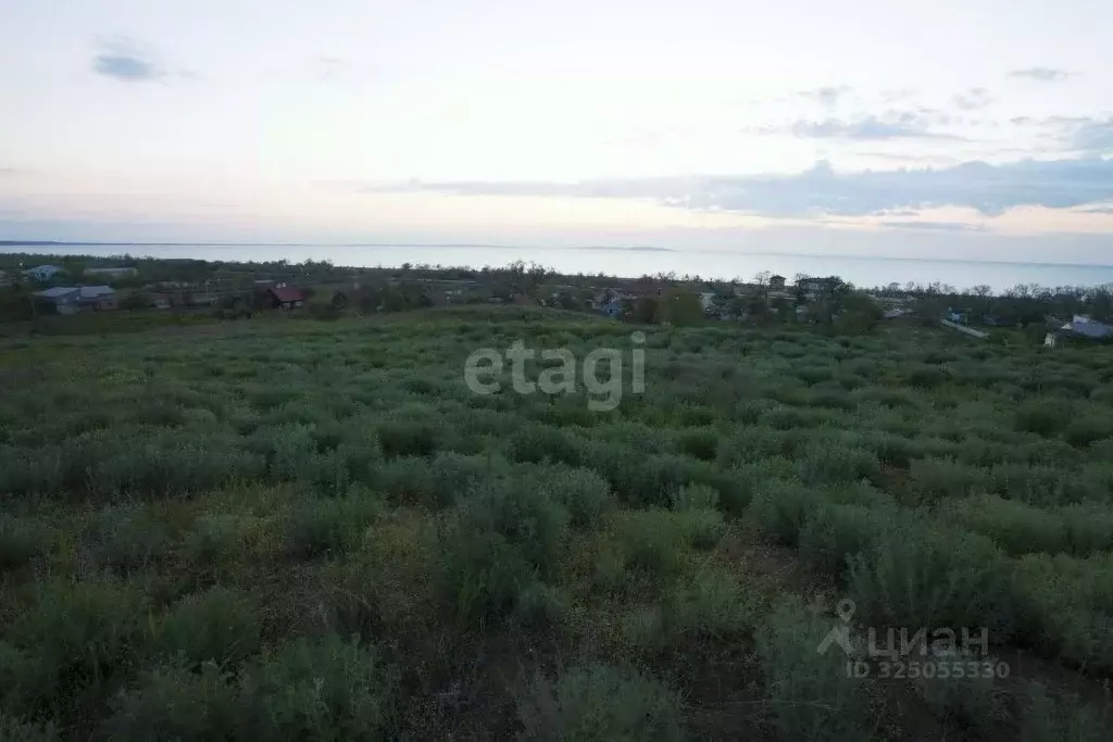 Участок в Крым, Ленинский район, Белинское с/пос, с. Новоотрадное ул. ... - Фото 1