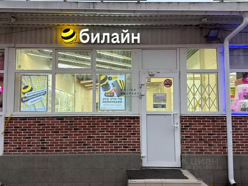 Торговая площадь в Московская область, Дедовск г. Истра муниципальный ... - Фото 2