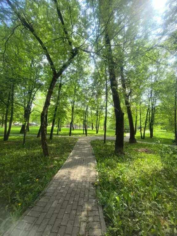 1-к кв. Москва Туристская ул., 6К3 (31.5 м) - Фото 2