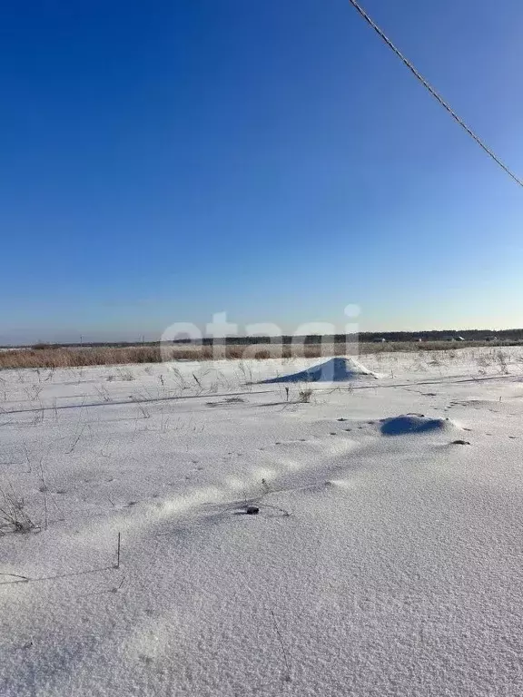 Участок в Тюменская область, Тюменский район, Садовые участки  (7.0 ... - Фото 1