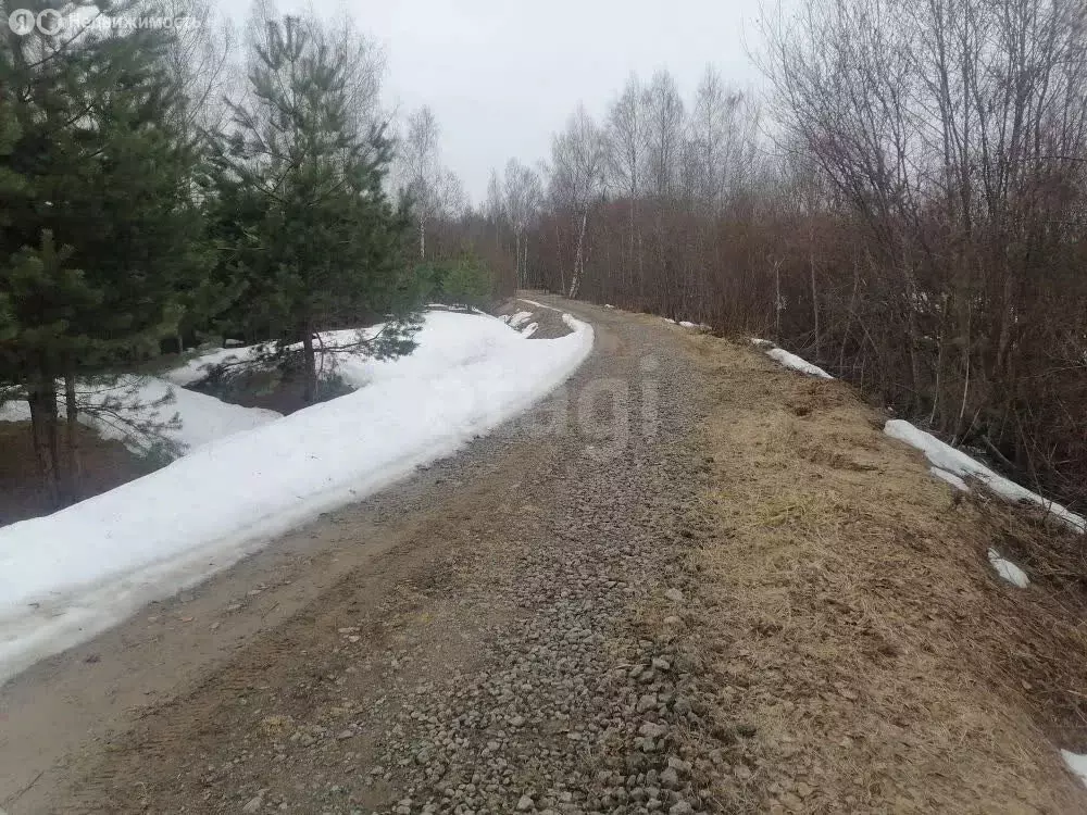 Участок в Вологодская область, Усть-Кубинский муниципальный округ, ... - Фото 2