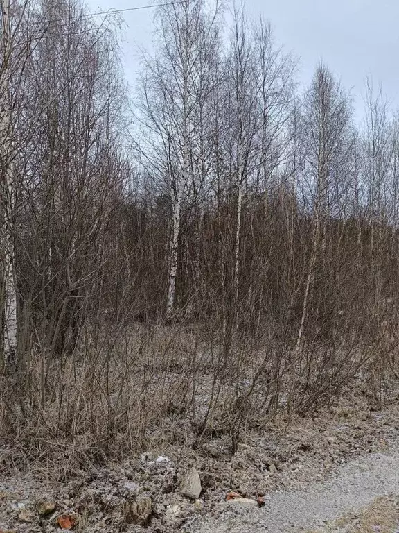 Участок в Московская область, Павлово-Посадский городской округ, д. ... - Фото 0