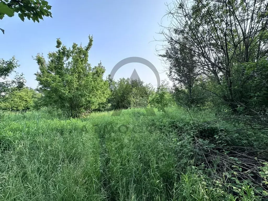 Участок в Краснодарский край, Хадыженск Апшеронский район, ул. Галкина ... - Фото 2