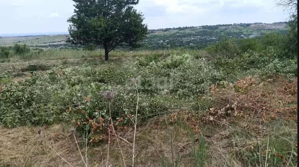 Участок в Ставропольский край, Ставрополь Селекционер садовое ... - Фото 1