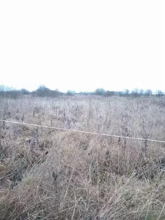 Участок в Ярославская область, Ярославский муниципальный округ, д. ... - Фото 1