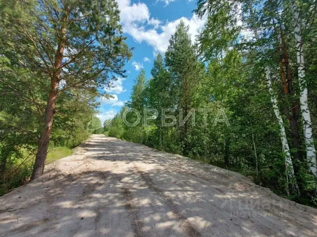 Участок в Тюменская область, Нижнетавдинский район, Сундукульский ... - Фото 0
