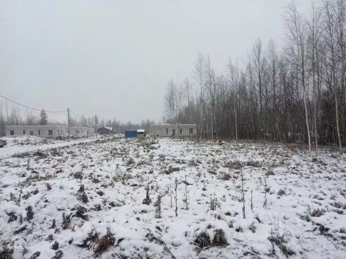 Участок в Ленинградская область, Всеволожский район, Рахьинское ... - Фото 1