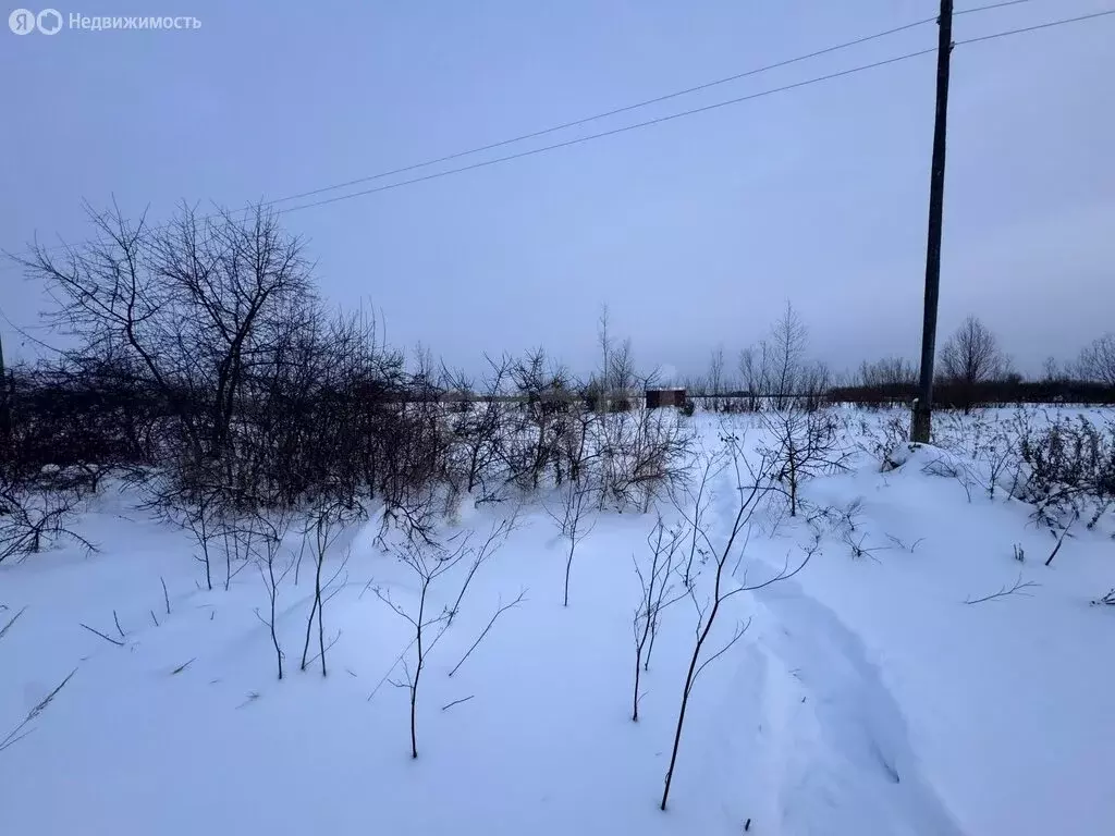 Участок в Тюмень, СНТ Автомобилист (18.87 м) - Фото 2