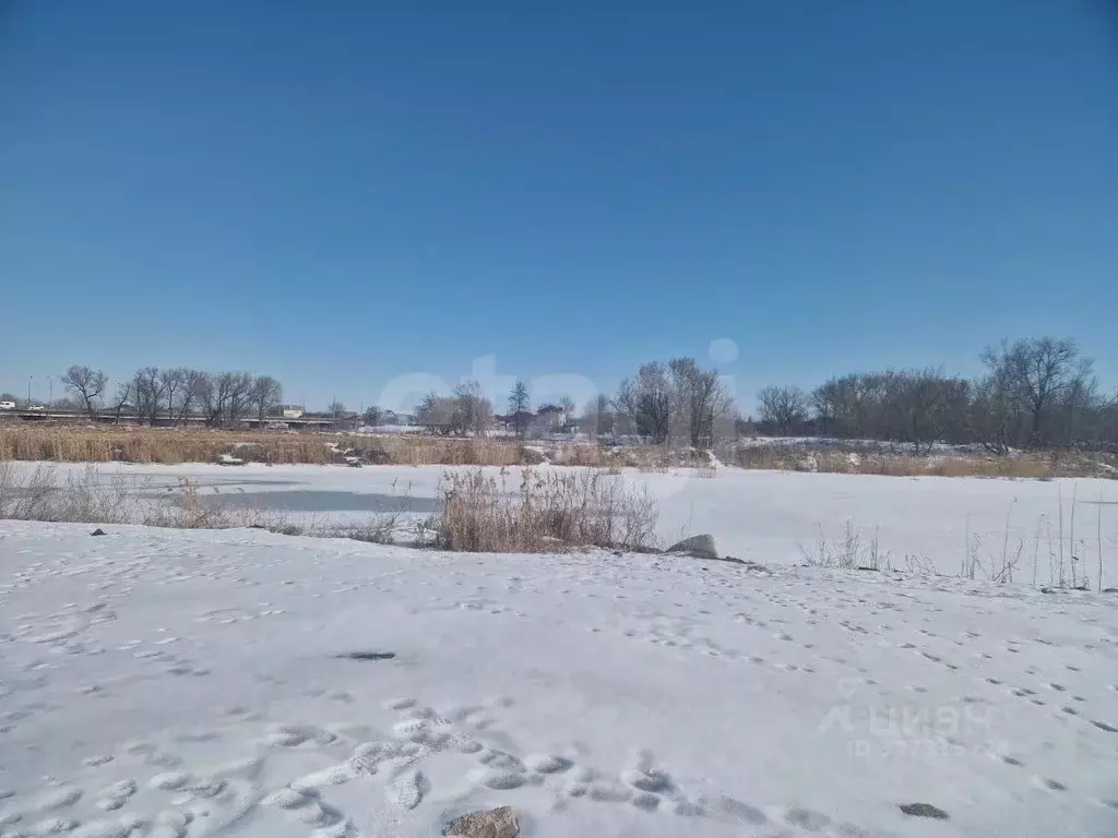 Участок в Белгородская область, Алексеевка ул. Некрасова, 100 (8.0 ... - Фото 1