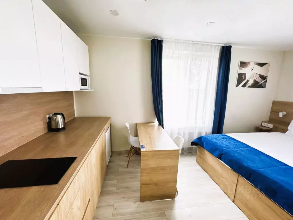 Студия Санкт-Петербург ул. Матроса Железняка, 2 (31.8 м) - Фото 2