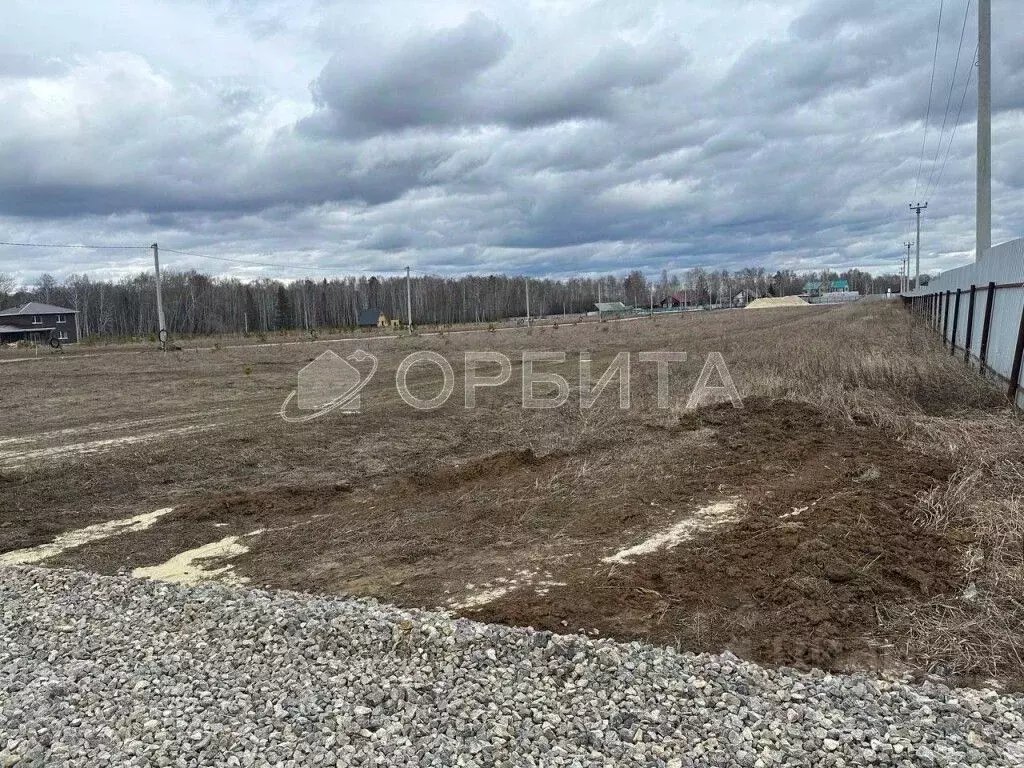 Участок в Тюменская область, Тюменский муниципальный округ, с. Кулига  ... - Фото 2