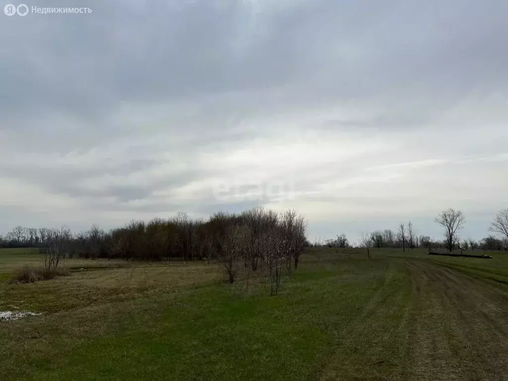 Участок в Волжский район, сельское поселение Черноречье, село ... - Фото 1