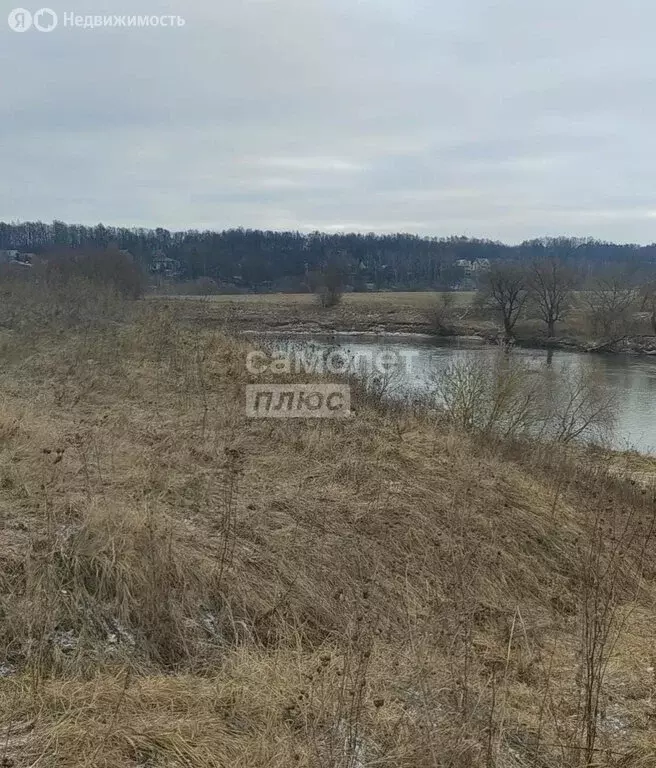 Участок в Московская область, Раменский муниципальный округ, село ... - Фото 0