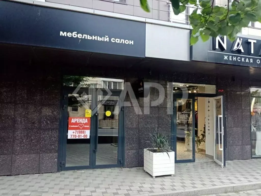 Помещение свободного назначения в Краснодарский край, Новороссийск ул. ... - Фото 0