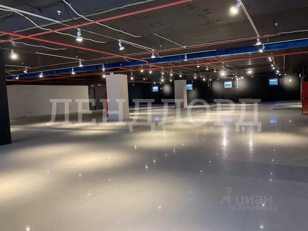 Торговая площадь в Ростовская область, Ростов-на-Дону ул. Доватора, ... - Фото 2