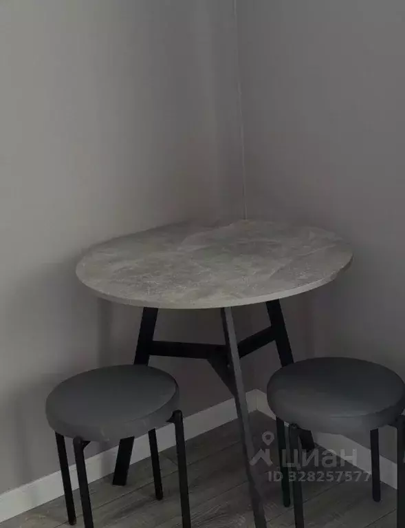 Студия Иркутская область, Иркутск Советская ул., 96 (23.0 м) - Фото 2