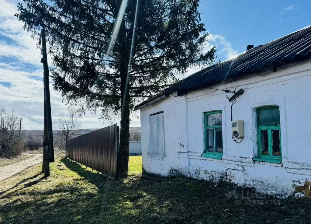 Дом в Рязанская область, Пронский муниципальный округ, с. Елшино ул. ... - Фото 1