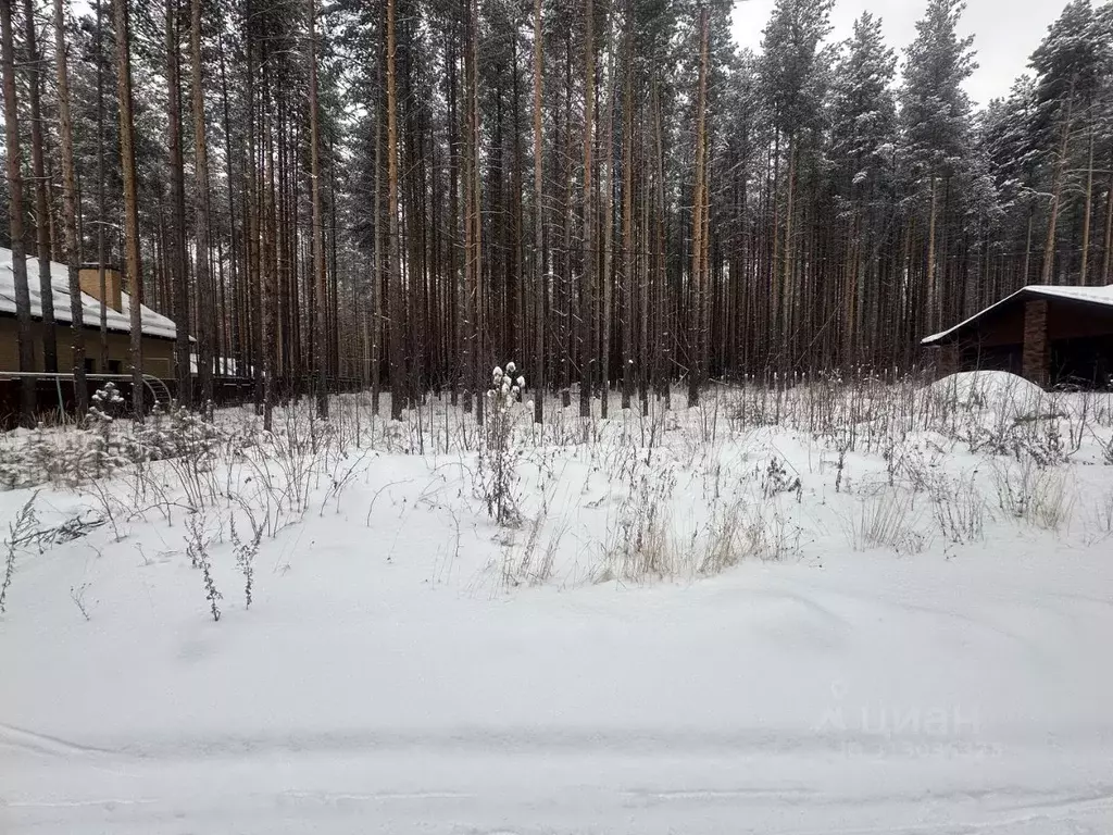 Участок в Свердловская область, Сысерть ул. Циолковского (8.24 сот.) - Фото 0